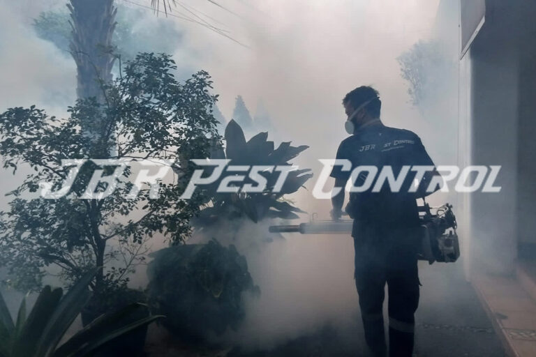 Jasa Fogging Nyamuk di Kebayoran Lama, Jakarta Selatan