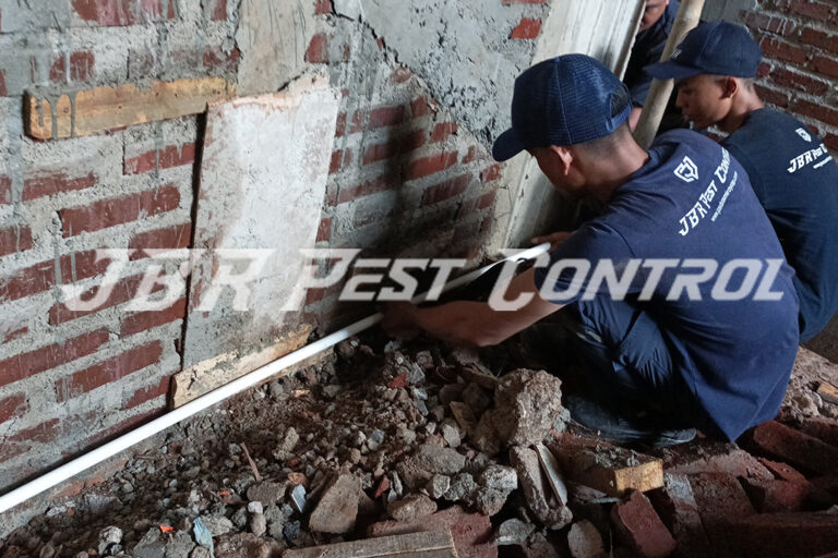 Anti Rayap Pipanisasi Pra Kontruksi di Foresta BSD, Tangerang