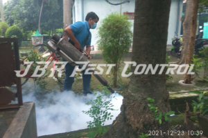 jasa pest control fogging nyamuk demam berdarah medan satria bekasi5