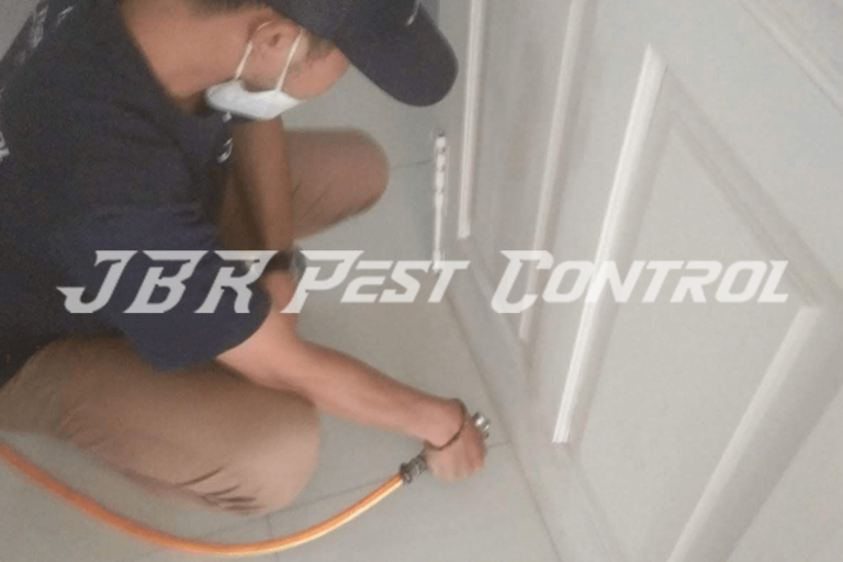 jasa anti rayap drill injection di pondok aren tangerang selatan4