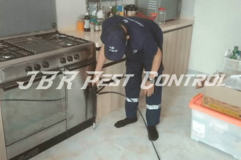 jasa anti rayap drill injection di bsd serpong2