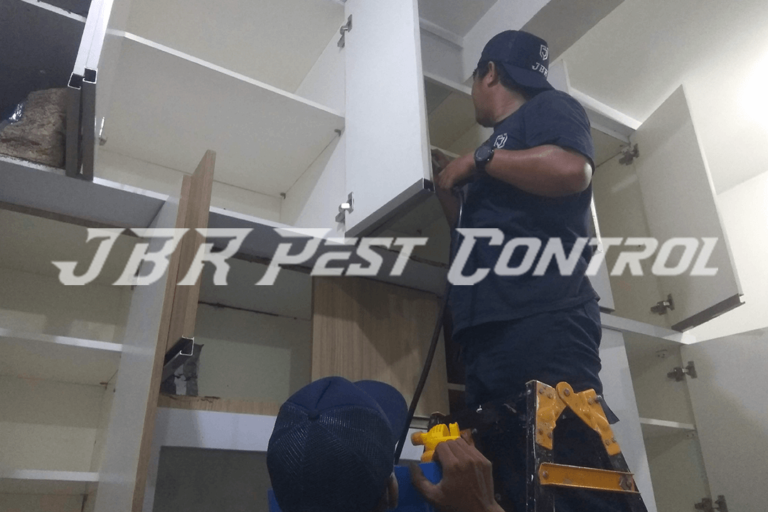 jasa anti rayap drill injection di gunung sindur bogor3