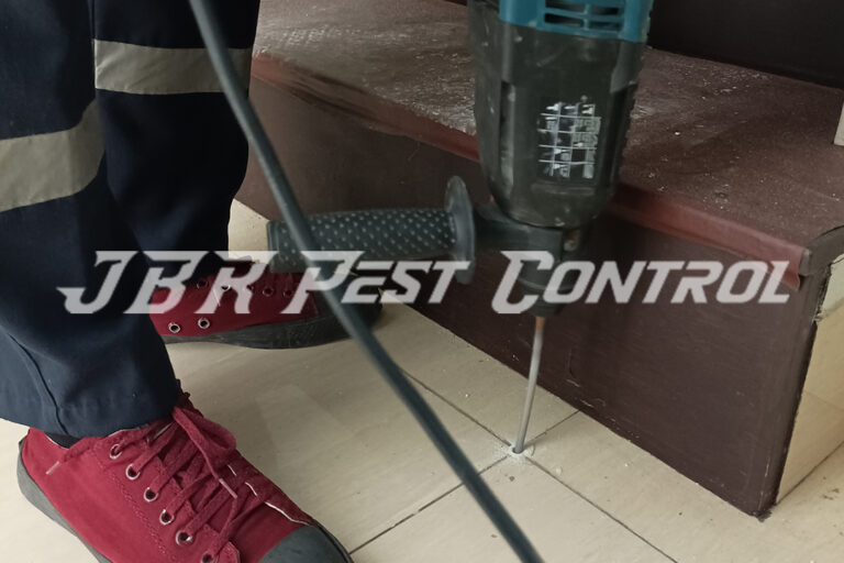 Treatment Jasa Anti Rayap Drill Injection di Cireundeu Ciputat Timur Tangerang Selatan