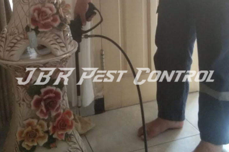 Treatment Jasa Anti Rayap Drill Injection di Jatiasih Bekasi