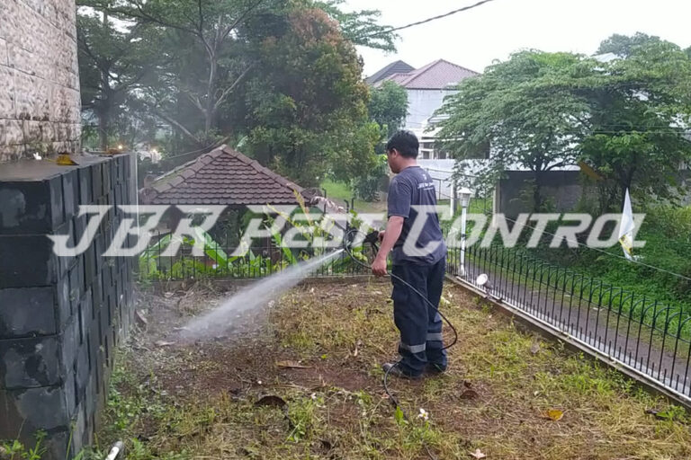 Jasa Anti Rayap Drill Injection di Sukaraja, Bogor
