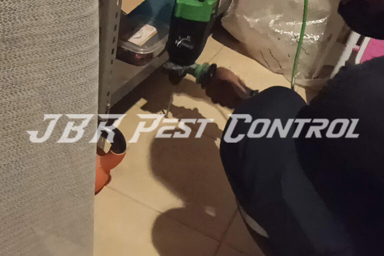 Jasa Anti Rayap Drill Injection di BSD, Serpong