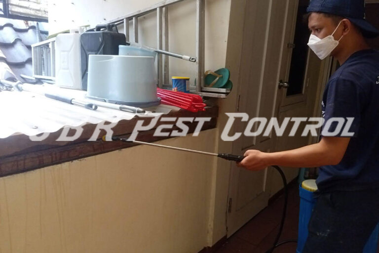 Jasa Anti Rayap Drill Injection di Kalideres, Jakarta Barat