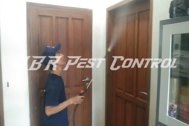 Jasa Anti Rayap Drill Injection di Kembangan, Jakarta Barat
