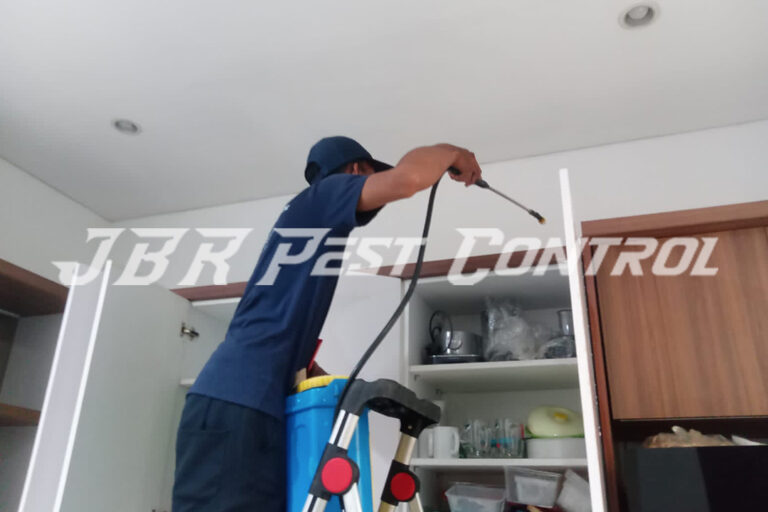 Jasa Anti Rayap Drill Injection di Lebak Bulus, Jakarta Selatan