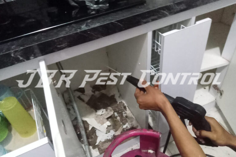 Jasa Anti Rayap Drill Injection di Pasir Jambu, Sukaraja, Bogor