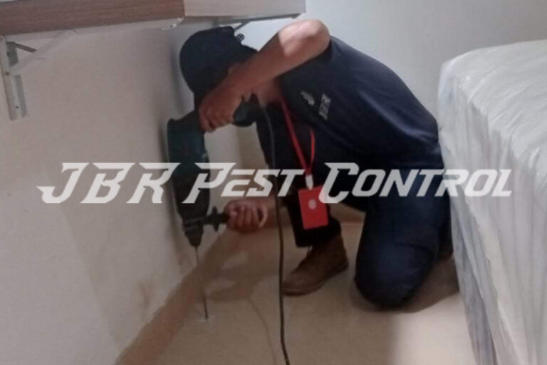Jasa Anti Rayap Drill Injection di Rawakalong, Gunung Sindur, Bogor