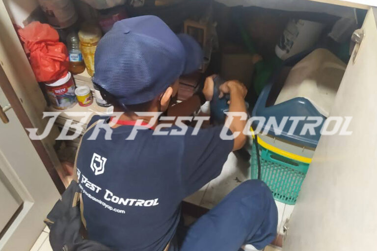 Jasa Anti Rayap Drill Injection di Tanjung Priok, Jakarta Utara