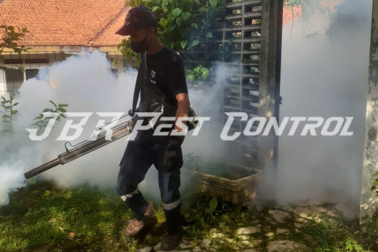 Treatment Jasa Fogging Nyamuk Malaria di Cinere Depok