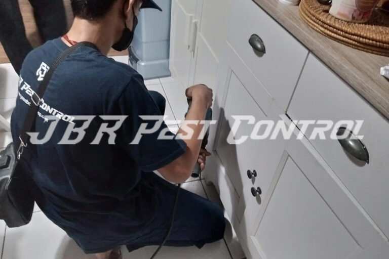 Treatment Jasa Anti Rayap Drill Injection di Ciparigi, Bogor