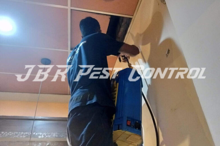 Treatment Jasa Anti Rayap Drill Injection di Kelapa Gading, Jakarta Utara
