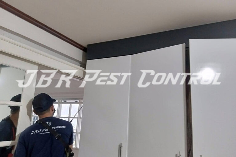Treatment Jasa Anti Rayap Drill Injection di Mampang Prapatan, Jakarta Selatan