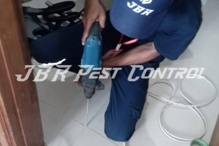 Treatment Jasa Anti Rayap Drill Injection di Pasar Minggu Jakarta Selatan