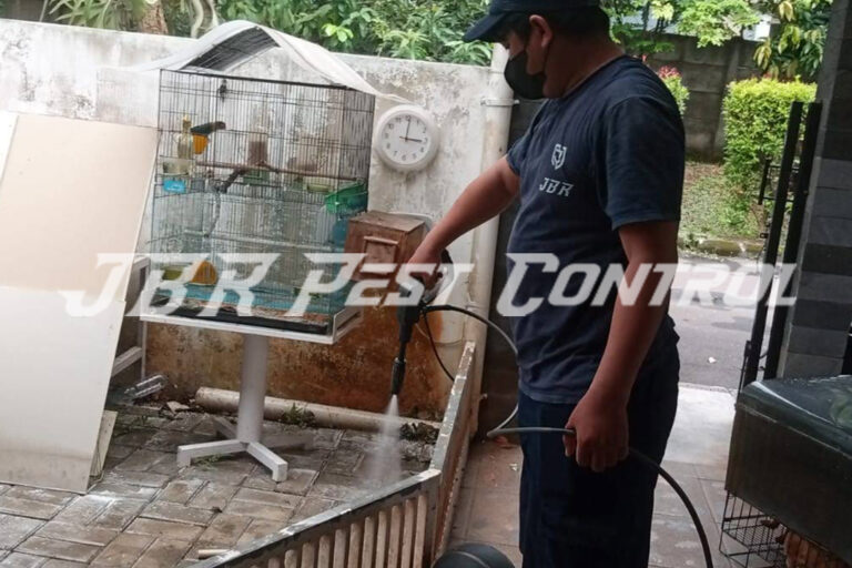 Jasa Anti Rayap Drill Injection di Serpong Tangerang Selatan