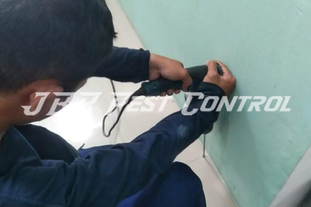 Anti Rayap Drill Injection di Sentul, Babakan Madang, Bogor